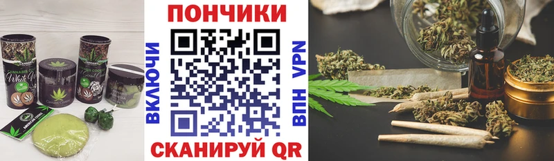 Cannafood конопля  Купить  Назрань 