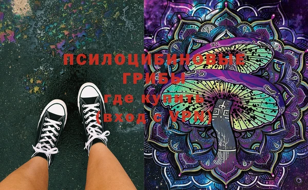 ECSTASY Покров