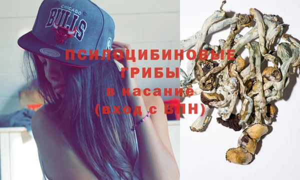 ECSTASY Покров