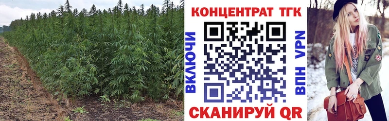 ТГК вейп с тгк  Купить закладки  Назрань 