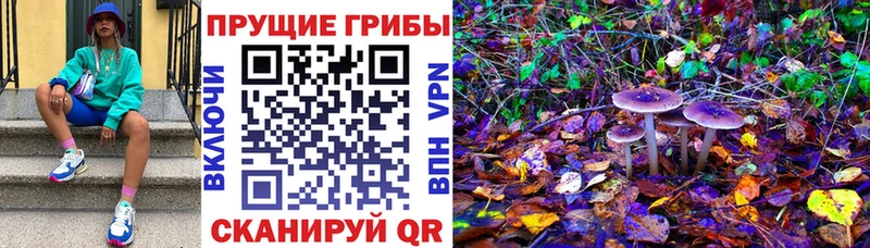 Купить Назрань Псилоцибиновые грибы мухоморы